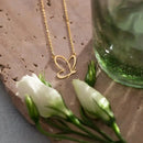 Collier Papillon Femme - colliers